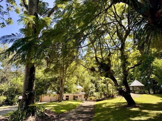 Two Homes, One Incredible Forest Retreat A Unique Opportunity