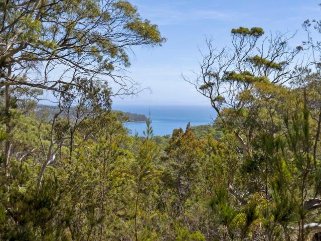 Two Stunning 50 Acre Tasmanian Bushland Parcels Buy One or Both!