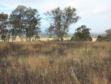 Two properties of rural land that would suit lifestyle investment! Expression of Interest closing at 3pm on Friday June 05 2026