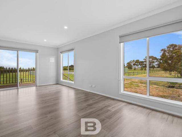 Two residences, solar, horse facilities, lots shedding!