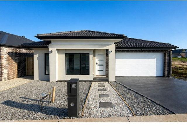 Two Weeks Free Rent, Move In Long Term Owners