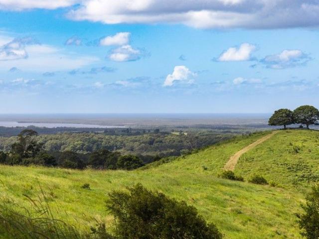 'Two Trees' Above it all & Overlooking Noosa