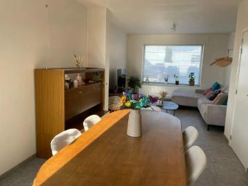8800, Roeselare, Roulers, Flandre-Occidentale, Flandre
