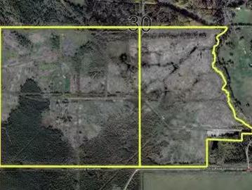 Twp 484 & Rr84, Rural Brazeau County, AB, T7A 2A1 vacant lan.