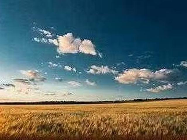 Twp Road 024, Rural Wheatland County, AB, T0J 1S0 vacant lan.