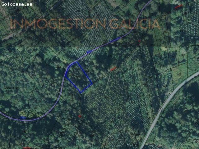 TU PROPIO DOMINIO NATURAL 5.327 M² EN CARRAL