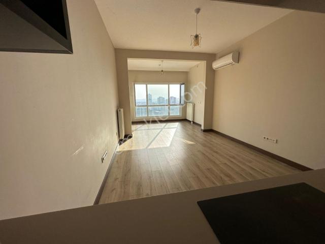 Tual 3.parsel'de Kiralık 1+1 Boş Daire