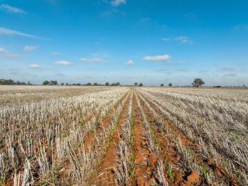 'Tuckett's Aggregation' Katunga Victoria 718 Hectares* / 1,774 Acres* Katunga Irrigation & Cropping Country
