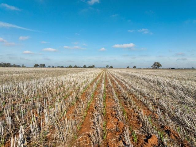 'Tuckett's Aggregation' Katunga Victoria 718 Hectares* / 1,774 Acres* Katunga Irrigation & Cropping Country