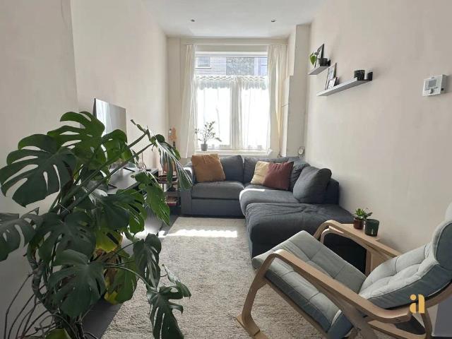 Tuinplezier Alert: onmiddellijk beschikbaar!