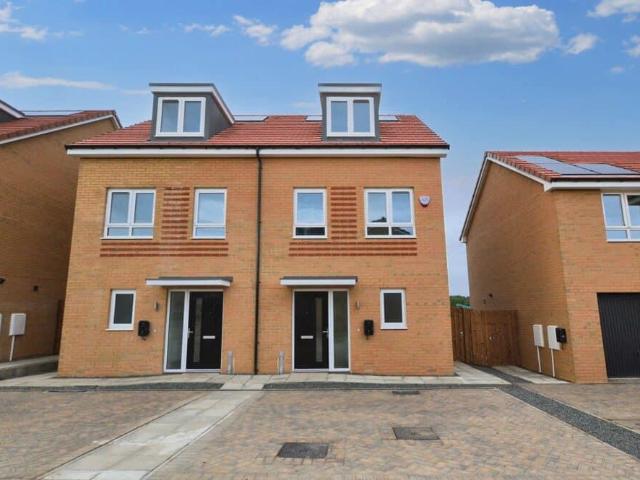 Tulip Avenue, Newcastle Great Park 3 bed semi detached house to rent £1,400 pcm £323 pw