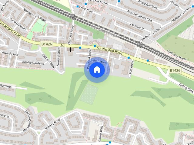 Tulip Street, Felling Central, Felling, Gateshead