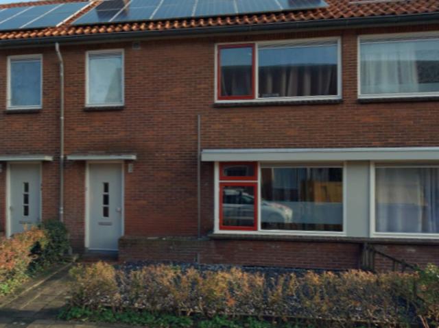 Tulpstraat 50