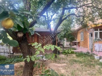 Gündüzbey, Yeşilyurt, Yeşilyurt, Malatya, Malatya ili, Doğu Anadolu Bölgesi