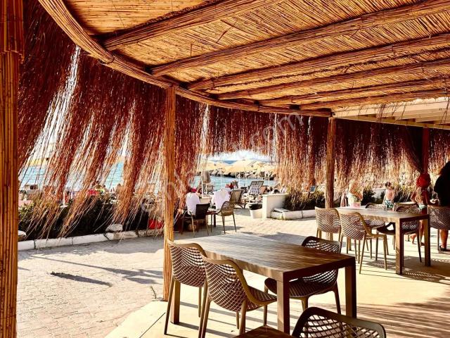 Turgutreis Yalı Mevkii,plajlı Sitede,denize Adım Mesafede,2+1 Daire