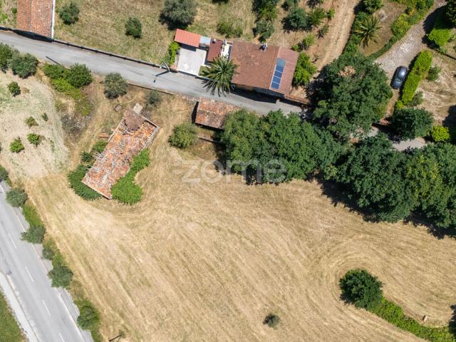 Turismo e Desenvolvimento Terreno na Região Demarcada do Dão