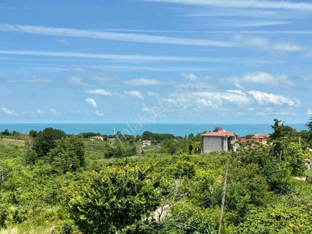 Tur/max'tan | 500 M2 Deniz Manzaralı Satılık Lüks Villa
