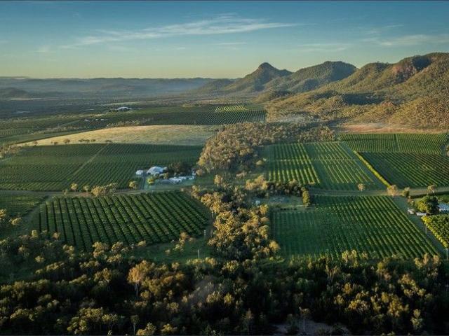 Turn Key Tropical Orchard | Over 8,900 Trees | Export Grade Produce | Strategic Location