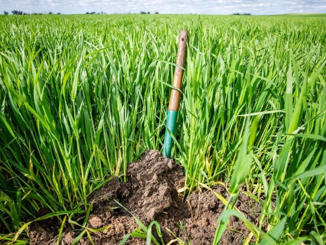 Turn Key Blue Ribbon Farming