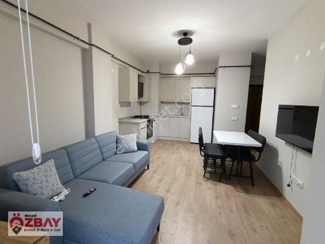 Turnasuyu Mah.de Kiralık 1+1 Eşyalı Daire