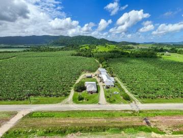Turnkey Banana Farm 2 Houses, 1 Barrack, Sheds & Machinery, Walk in Walk Out