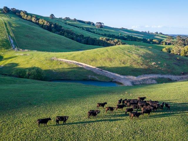 Turnkey Grazing Opportunity