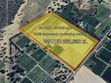Turnkey Horticultural Powerhouse | 20Ha Fully Reticulated with 220,650kL Water License