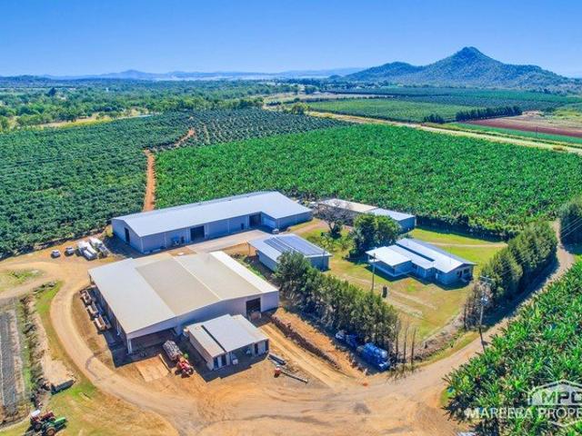 TURNKEY HORTICULTURE FARM ON 272 ACRES WITH PACKING SHEDS