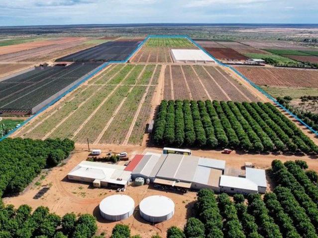Turnkey Horticulture Operation | 58 Acres | Established Production, Infrastructure & Expansion Potential