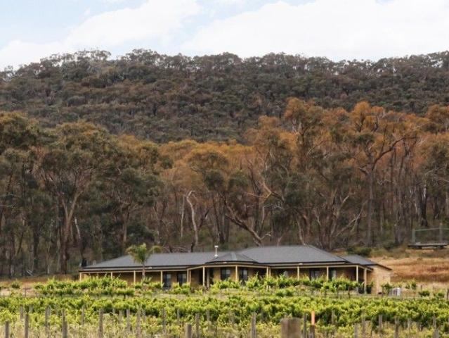 TURN KEY VINEYARD READY FOR YOUR VISION