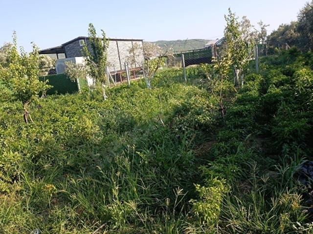 TURPA VİVADAN GAZİ MUSTAFA KEMAL DE SATILIK 450 M2 BAHÇE
