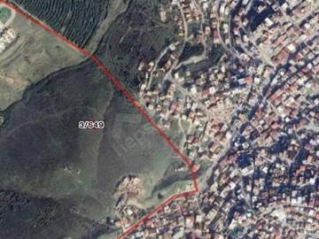 Balçova, İzmir ili, Ege Bölgesi