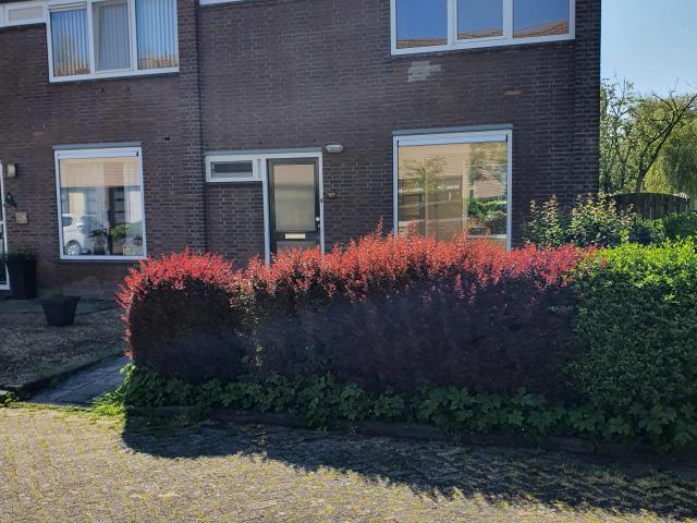 Tussenwoning in Assendelft