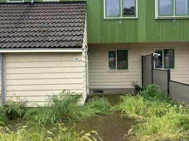 Tussenwoning in Hoofddorp