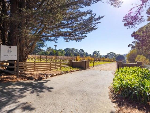 Tussie Mussie Iconic Peninsula estate for family & entertaining