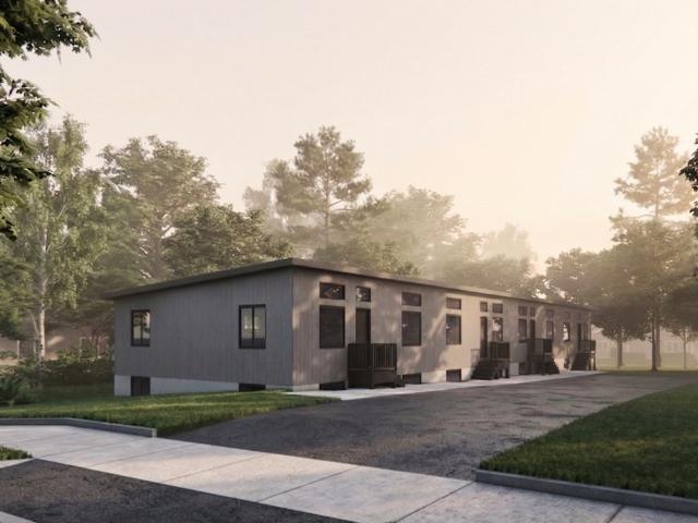 TVM FRANK STREET INC