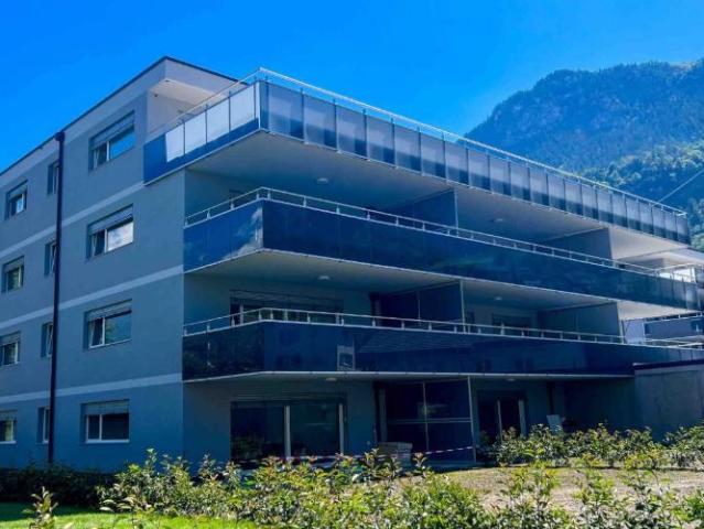 Tzaly n°31