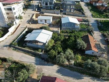 Zeytinköy, Selçuk, Selçuk, İzmir ili, Ege Bölgesi