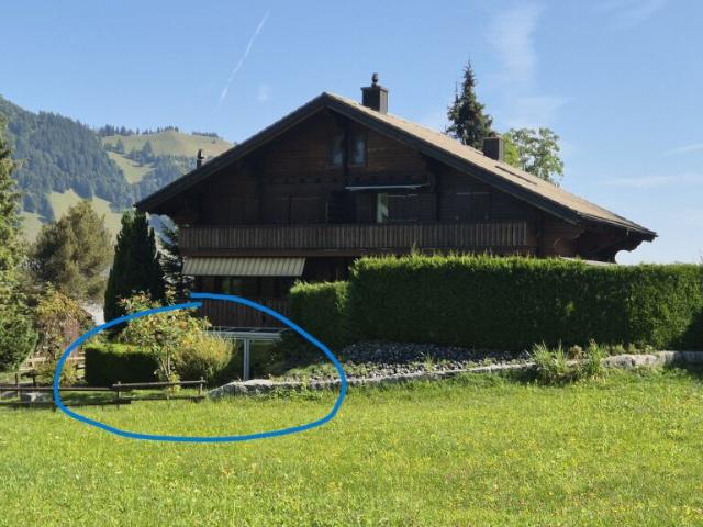 Über dem Nebel, mitten im Sonnenschein ? Renoviertes Bijou in Wirzweli mit Pisten /Bergblick