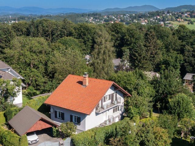 Über den Baumkronen am Ruckerlberg – 1.458 m² in absoluter Ruhelage