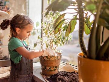 Jakobsplatz, Nürnberg, Altstadt und Engere Innenstadt, Schweinau, Nürnberg, Mittelfranken, Bayern