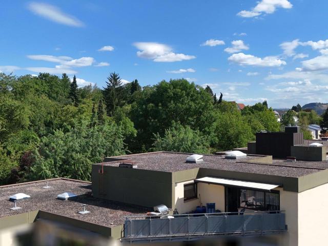 Über den Dächern großzügige Wohnung mit Dachterrasse