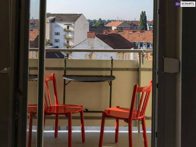 Über den Dächern schweift der Blick der Sonne entgegen!