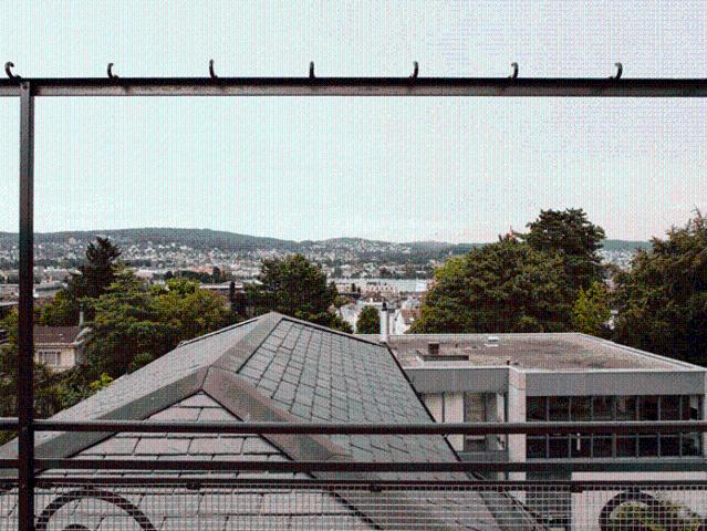 Über den Dächern von Zürich!