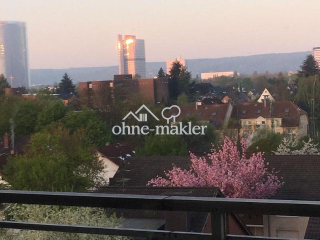 Über den Dächern von Bonn
