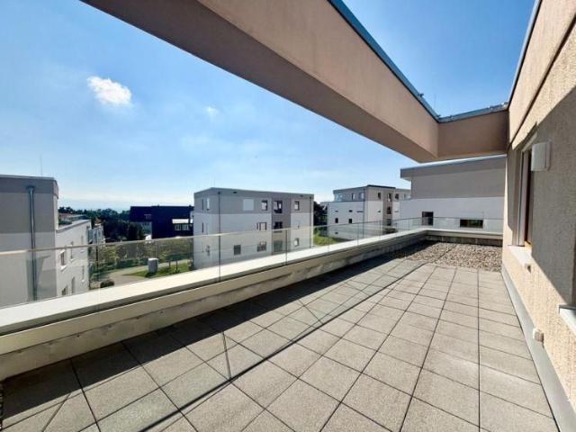 Über den Dächern von Friedrichshafen! Exklusives 3 Zimmer Penthouse