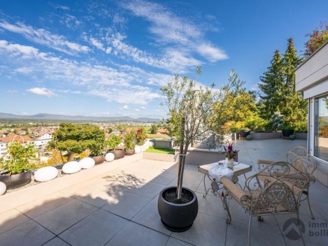 Über den Dächern – 96 m2 Terrasse mit Weitblick