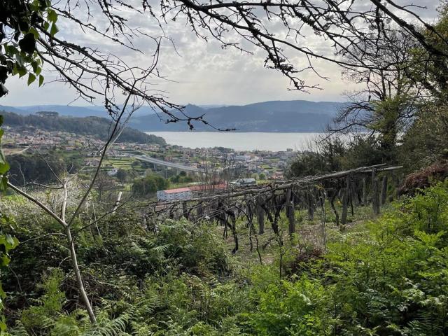 Ubicada a solo 5 minutos de Vigo, en la zona de San Adrián d. 190m² Vilaboa