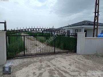 Taşpınar, Çubuk, Çubuk, Ankara ili, İç Anadolu Bölgesi