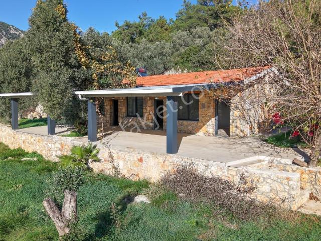 Ula Gökova Da Kiralık Bahçeli Müstakil Kiralık Taş Villa Ve Arsa